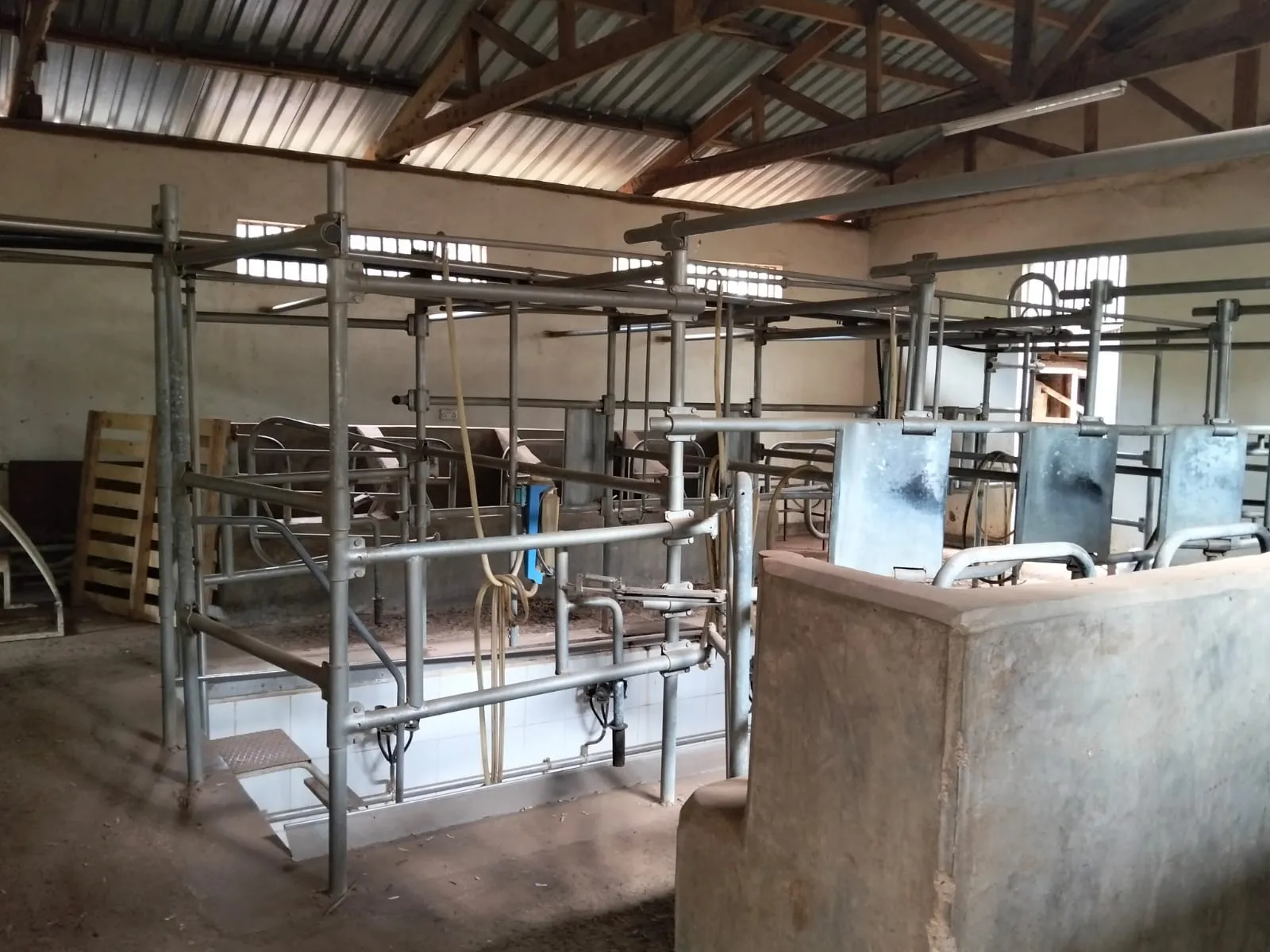 Clean, modern dairy milking parlor
