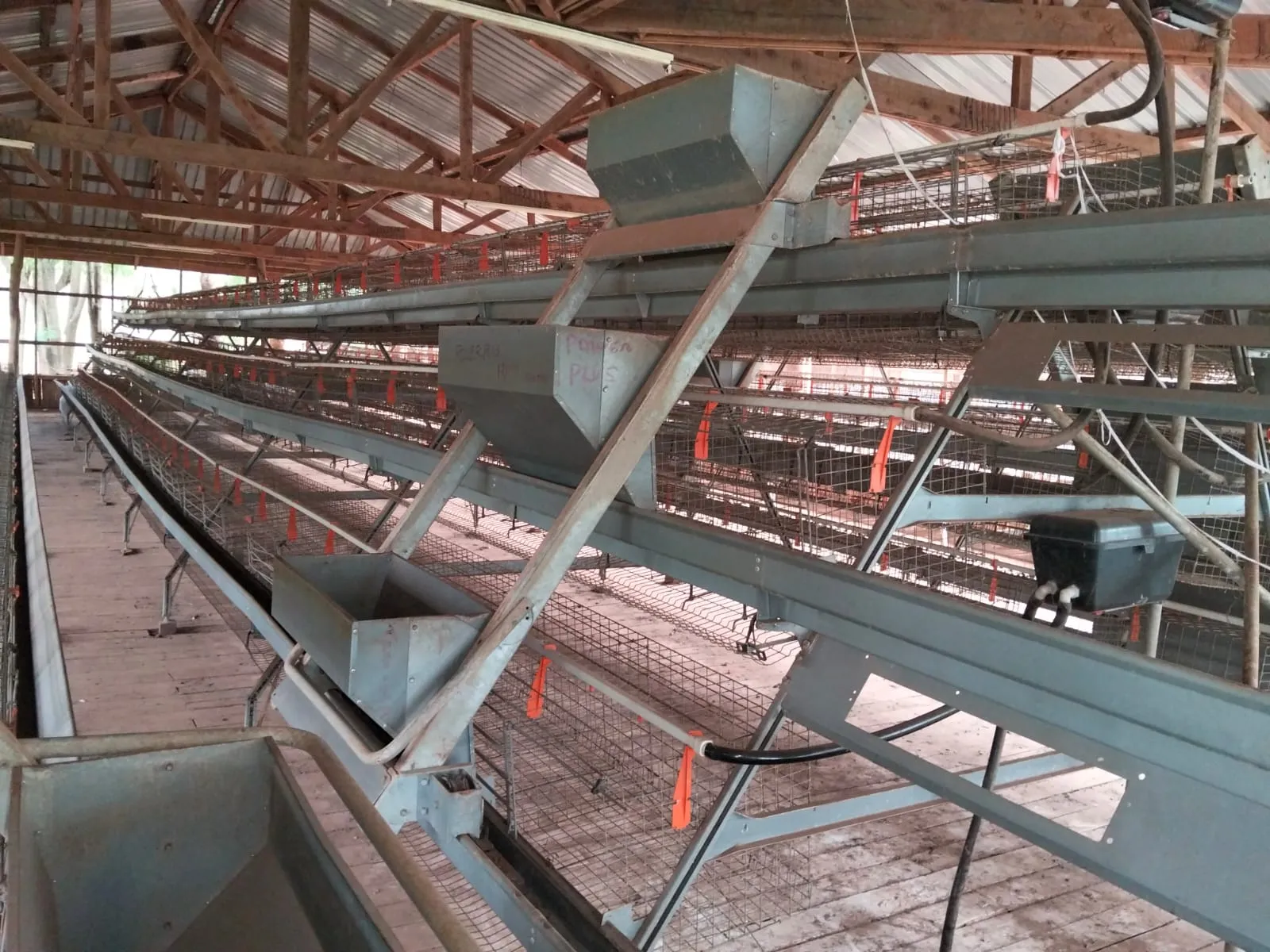 Large-scale modern poultry house